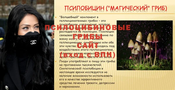 стафф Алексеевка