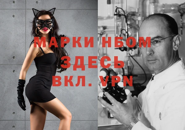 Альфа ПВП Алзамай