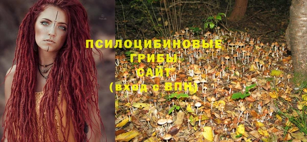 стафф Алексеевка