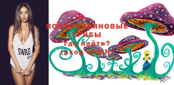 Альфа ПВП Алзамай